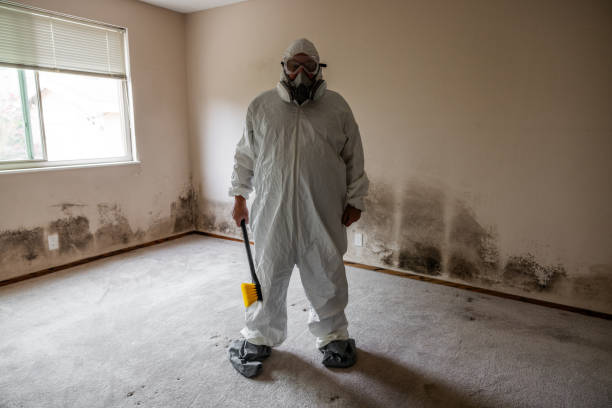 Best Residential Mold Removal  in Edgerton, MN